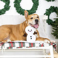 Fringe I'm Melting Dog Toy | Lifestyle Image of Dog with Plush Snowman