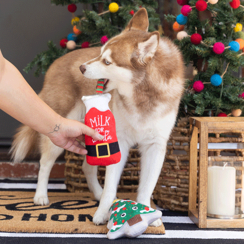 Fringe Santa Ready - Dog Toys | Lifestyle Image of Large Dog with Plush Milk and Christmas Tree