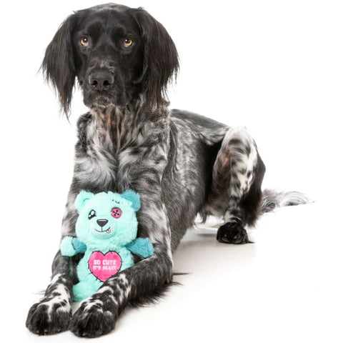 Fuzzyard Deaddy Bear Scary Cute Dog Toy | Lifestyle Image