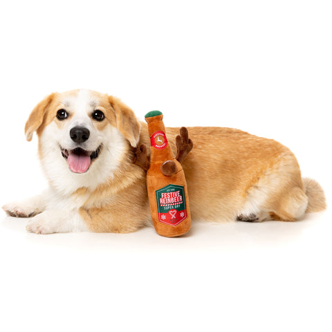 Fuzzyard Festive Reinbeer Dog Toy | Lifestyle Image of Corgi with Plush Brown Beer Toy