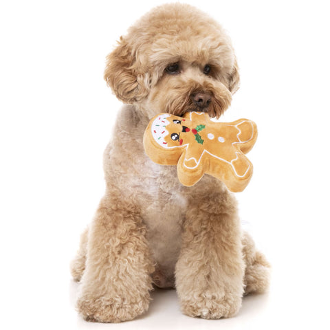 Fuzzyard Fred the Gingerbread Dog Toy | Lifestyle Image