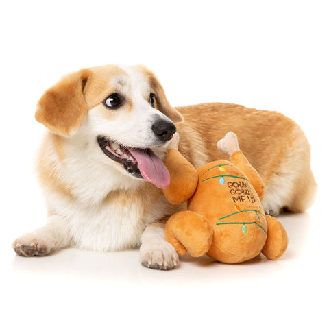 Fuzzyard Gobble Me Up Turkey Dog Toy | Lifestyle Image of Dog with Brown Plush Turkey with Lights