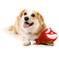 Fuzzyard Jolly Festive Ham Dog Toy | Lifestyle Image of Corgi with Plush Holiday Ham