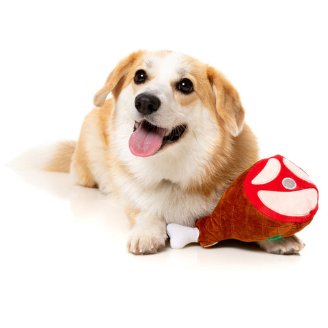 Fuzzyard Jolly Festive Ham Dog Toy | Lifestyle Image of Corgi with Plush Holiday Ham
