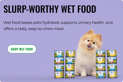 WET FOOD
