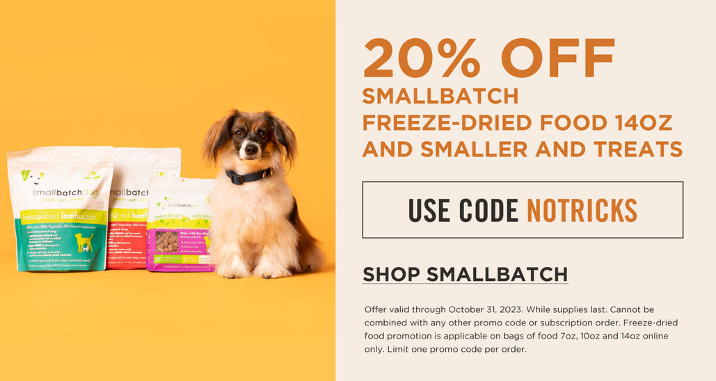 DOG & CO.  Quality Pet Products, In-Store & Online