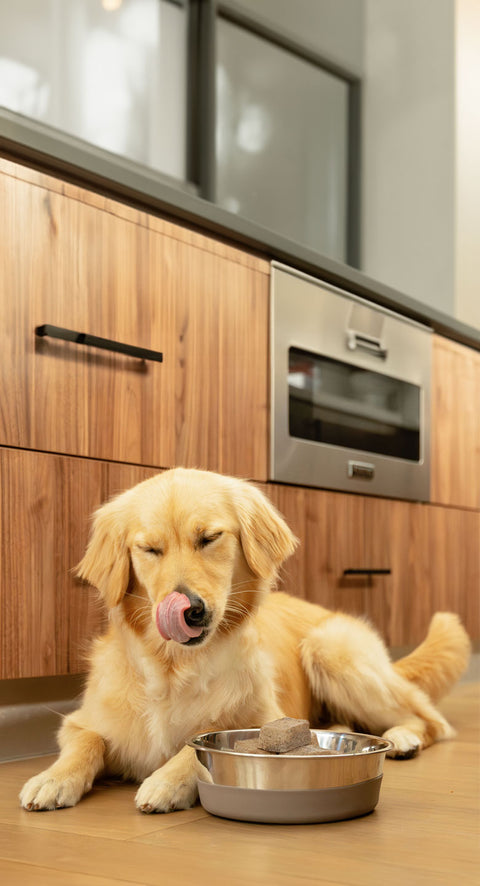 15% OFF HEALTHY START COLLECTION