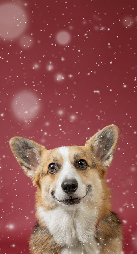 SHOP BLACK FRIDAY DEALS