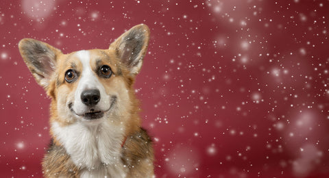 SHOP BLACK FRIDAY DEALS