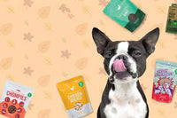 Green Juju Freeze-Dried Raw Diet Rabbit Dog Food