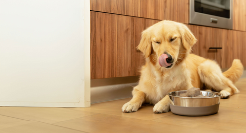 15% OFF HEALTHY START COLLECTION