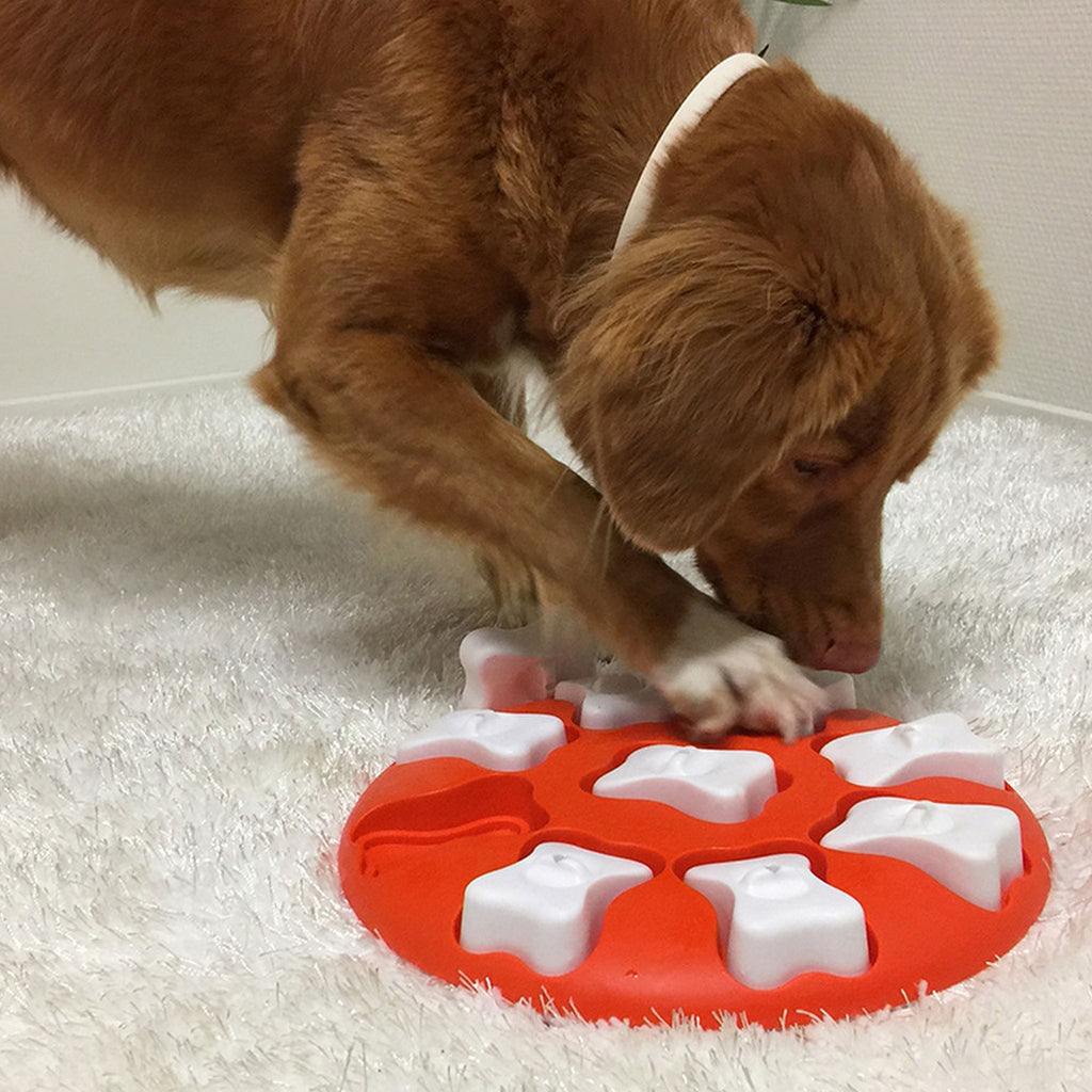 Nina Ottosson Orange Level Easy Dog Puzzle HEALTHY SPOT