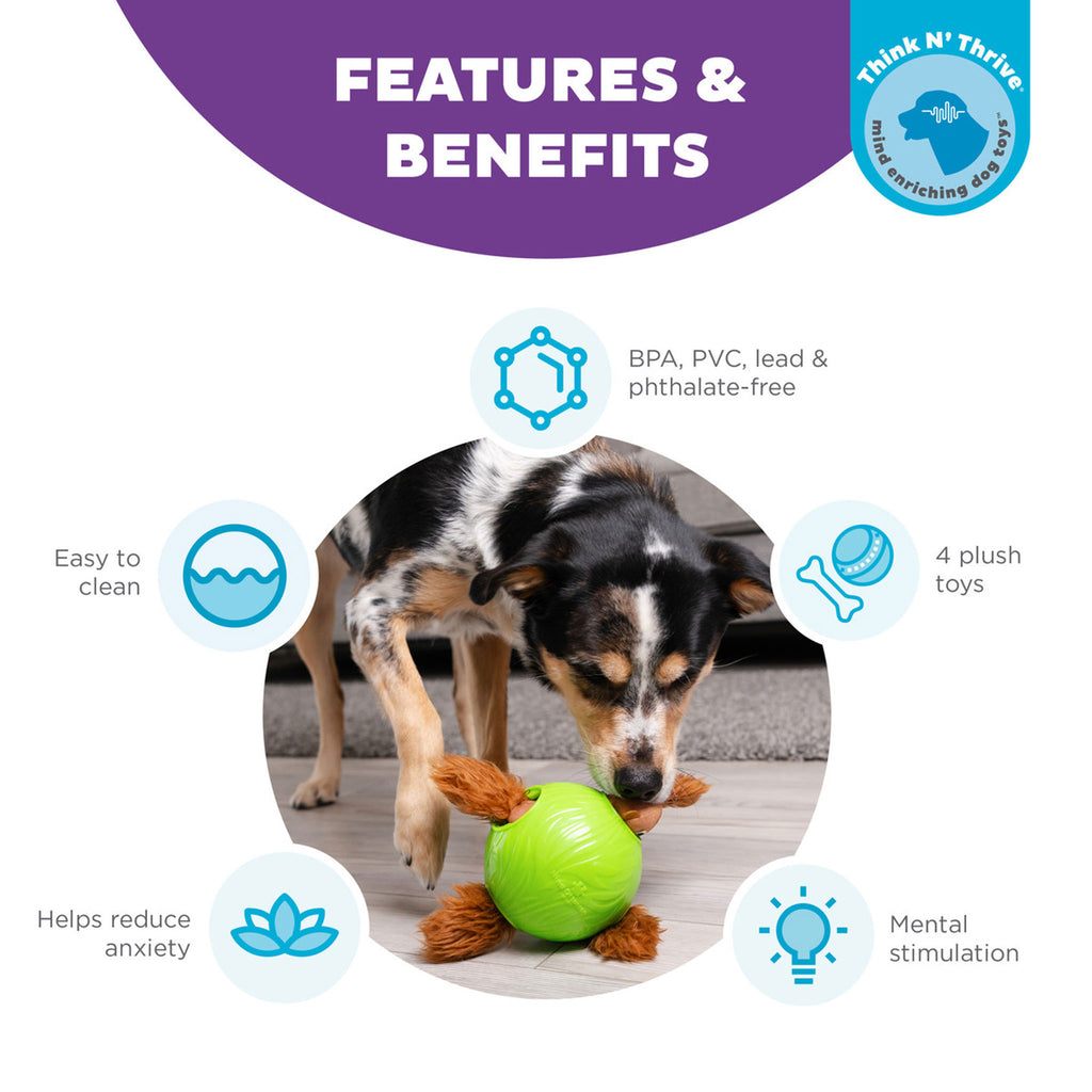 Nina Ottosson Snuffle Treat Ball Green Dog Toys – HEALTHY SPOT