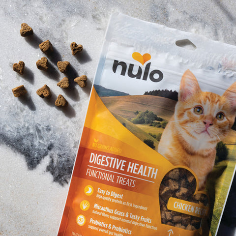 Nulo Functional Treats Digestive HealthCat Chicken 4 oz