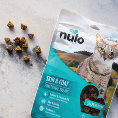 Nulo Functional Treats Skin & Coat Cat Salmon 4 oz