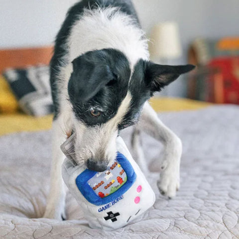 P.L.A.Y. Game Bone Dog Toy - Grey