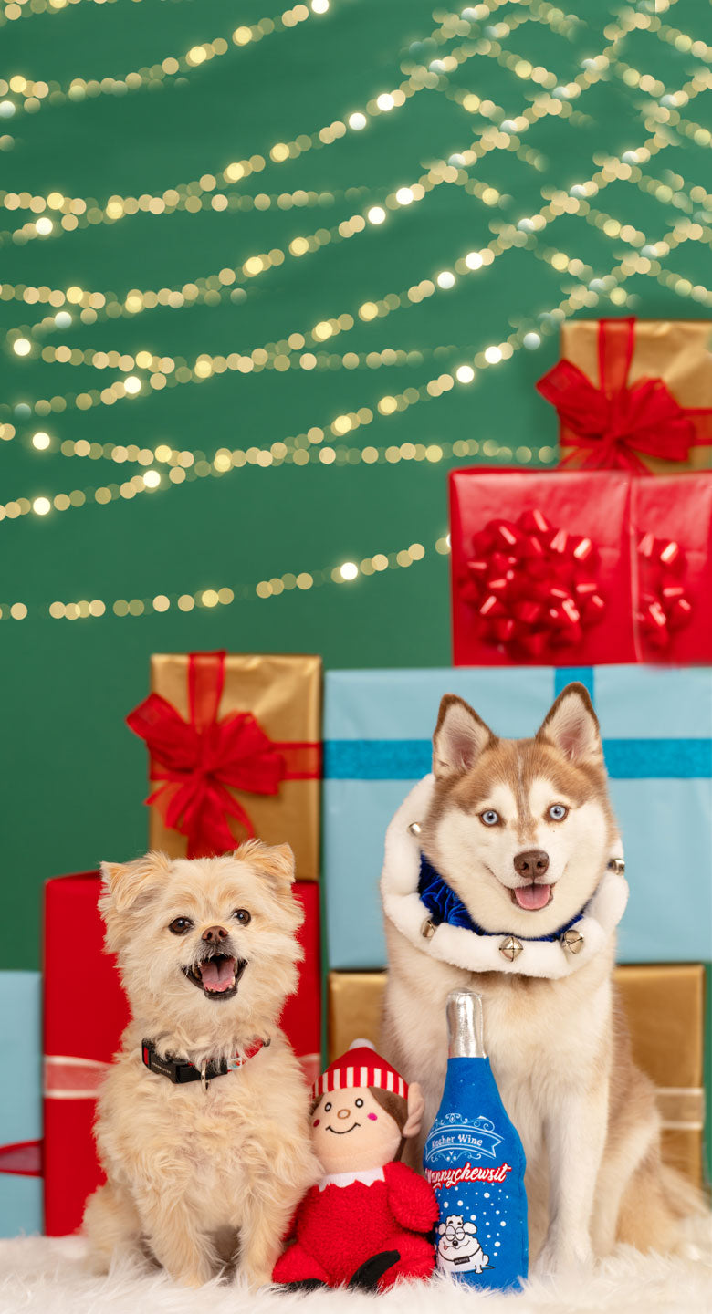Starbucks China - Christmas 2021 - 27. Husky & Lion Gifts Red Gift Car —  USShoppingSOS