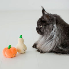 Pearhead Oh My Gourd Cat Toys - 2 Pack