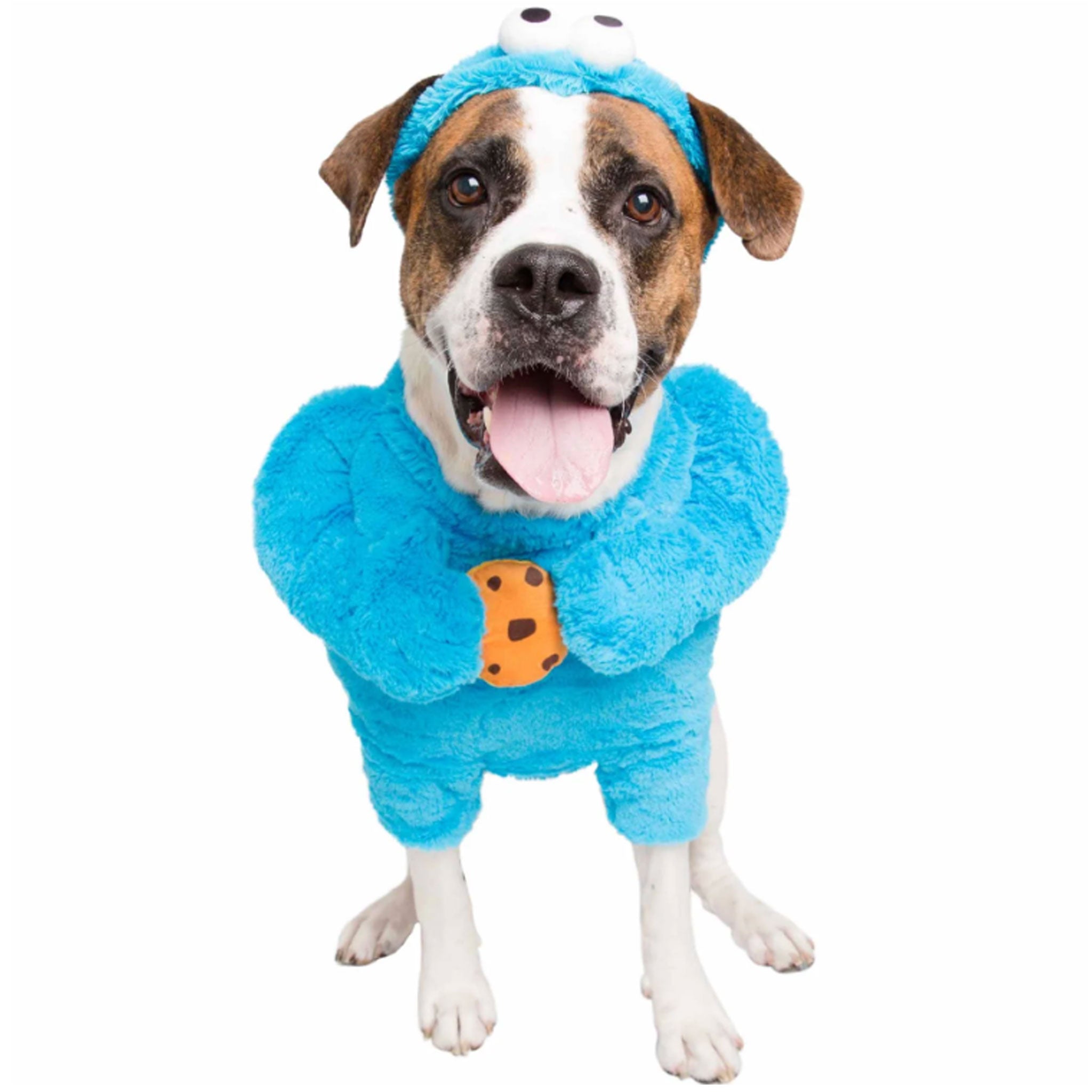 Sesame street cookie shop monster dog costume