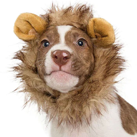 Pet Krewe Lion's Mane Costume