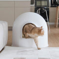 Pidan Igloo Litter Box - White | Lifesttyle Image of a Cat in a  White Litter Box