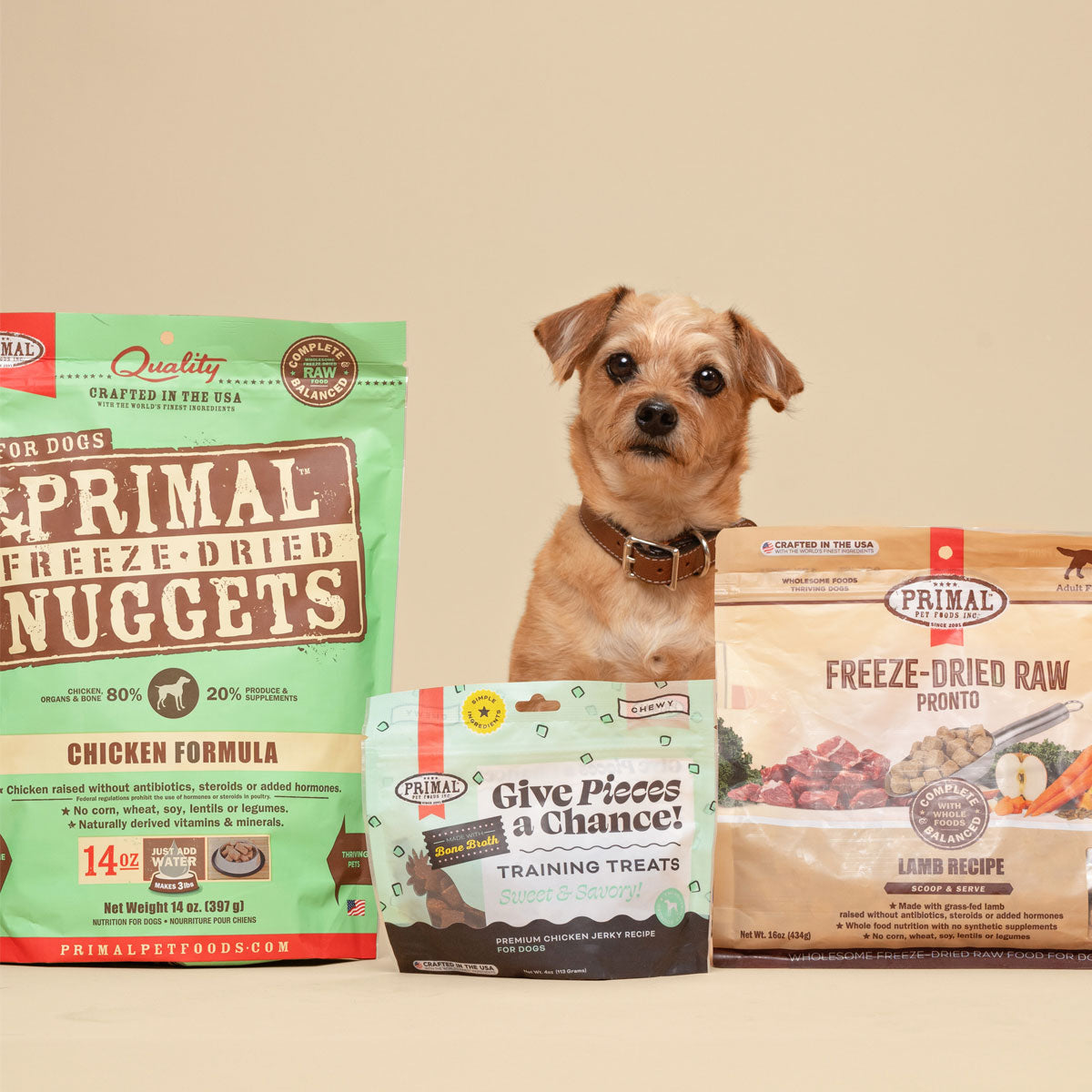 Natural, Healthy Pet Food for Dogs & Cats