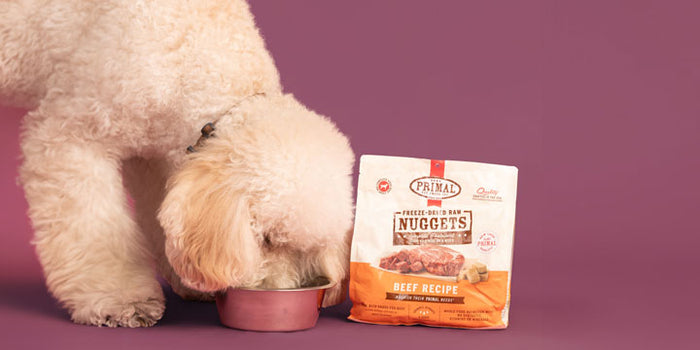 BUY 1, GET 1 50% OFF 