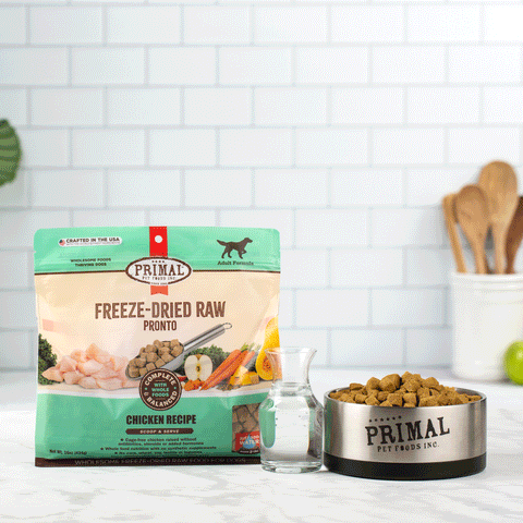 Primal Freeze-Dried Chicken Pronto Dog Food, Lifestyle Image of Green Packaging of Freeze-Dried Raw Pronto Chicken Recipe