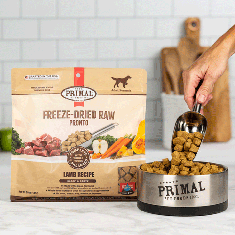 Primal Freeze-Dried Lamb Pronto Dog Food, Lifestyle Image of Tan Packaging of Freeze-Dried Raw Pronto Lamb Recipe