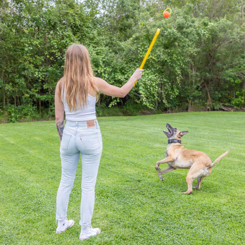 Front Image of  Person Holding Yellow Ball Thrower with Orange Ball. They are about to throw the ball for their dog.