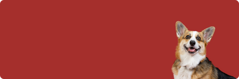 $10 REWARD WITH A $75+ PURCHASE