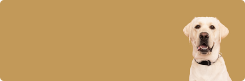 15% OFF YOUR FIRST ORDER