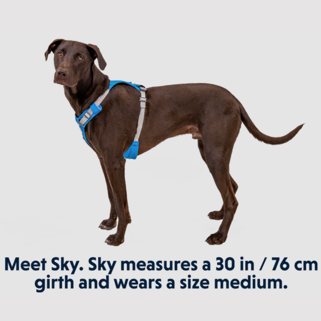 Ruffwear online dog lead