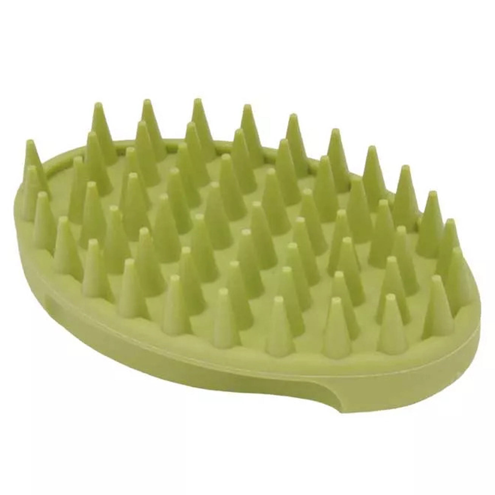 Curry brush shop
