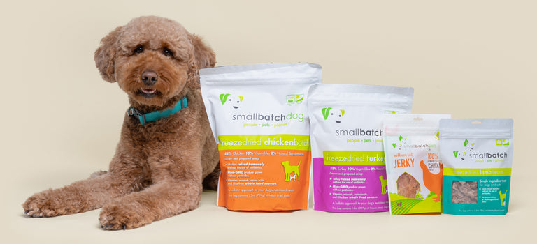 Small Batch, Big Difference For Dogs & Cats 
