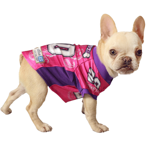 Snoop Doggie Dogg Deluxe Pet Jersey - Pink | Lifestyle Image of Pink and Purple Jersey with Snoop Dogg Logo