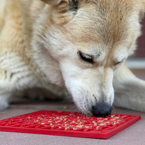 SodaPup Peace Licking Mat Dog Toy | Lifestyle Image of Dog Licking Red Lick Mat