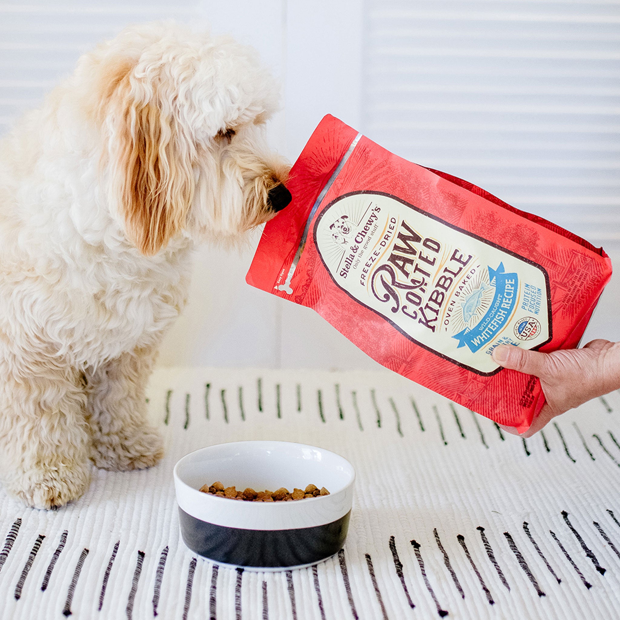 Stella and chewy raw coated kibble whitefish 2025