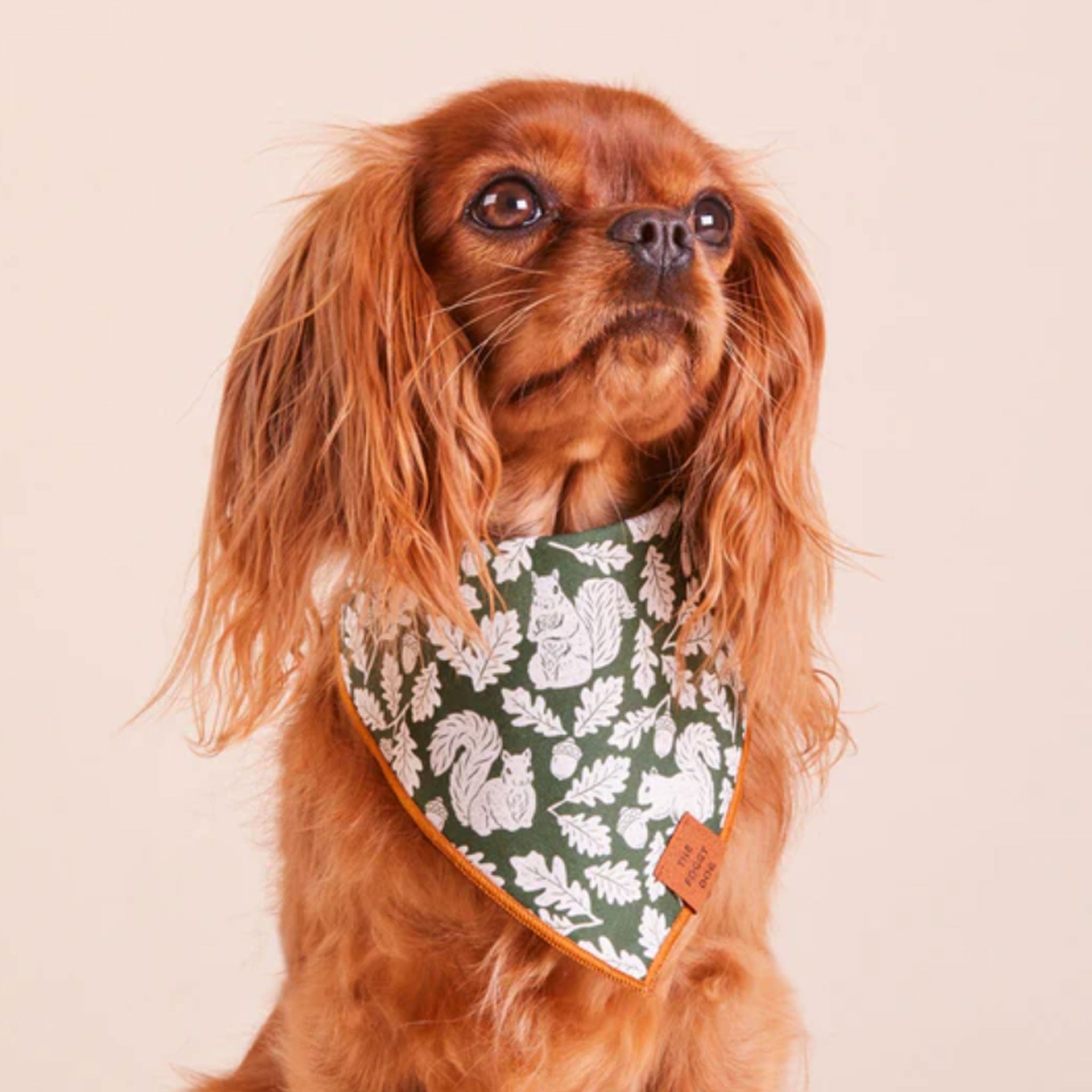 Foggy dog bandana hotsell