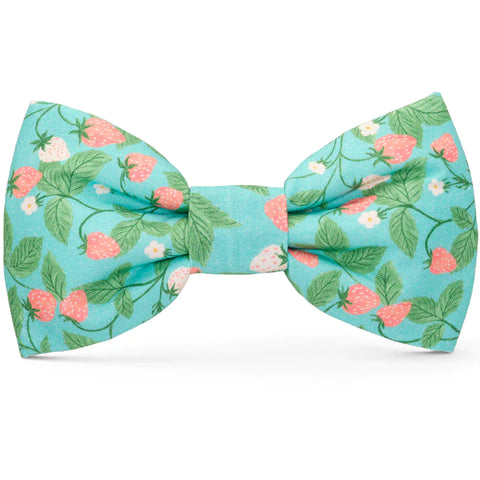 The Foggy Dog Bowtie - Berry Patch | Front Image of Blue Bowtie with Strawberries and Flowers