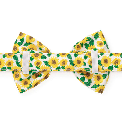 The Foggy Dog Bowtie - You Are My Sunshine