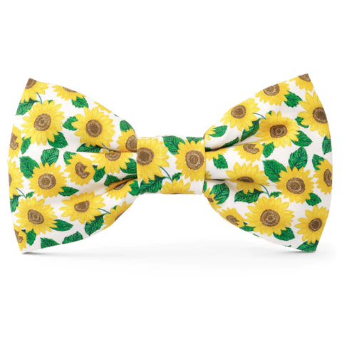 The Foggy Dog Bowtie - You Are My Sunshine