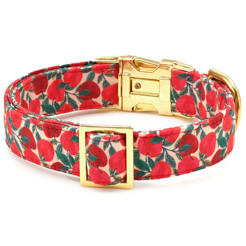 The Foggy Dog Collar - Apple of My Eye | Back Image