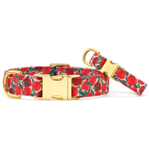 The Foggy Dog Collar - Apple of My Eye | Front Image