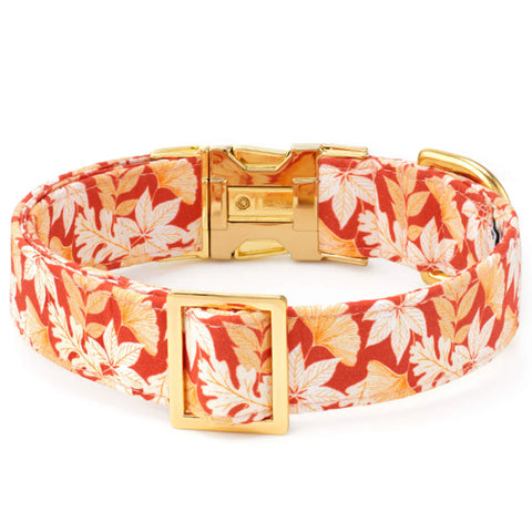 The Foggy Dog Collar - Autumn Leaves | Back Image