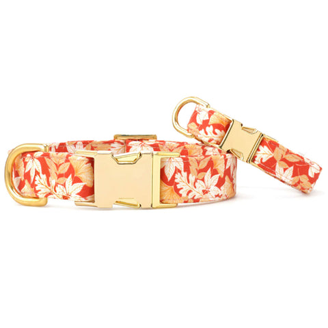 The Foggy Dog Collar - Autumn Leaves | Front Image