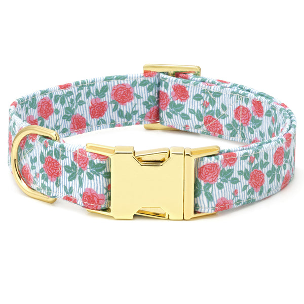 The Foggy Dog Collar - Rain Rose – HEALTHY SPOT