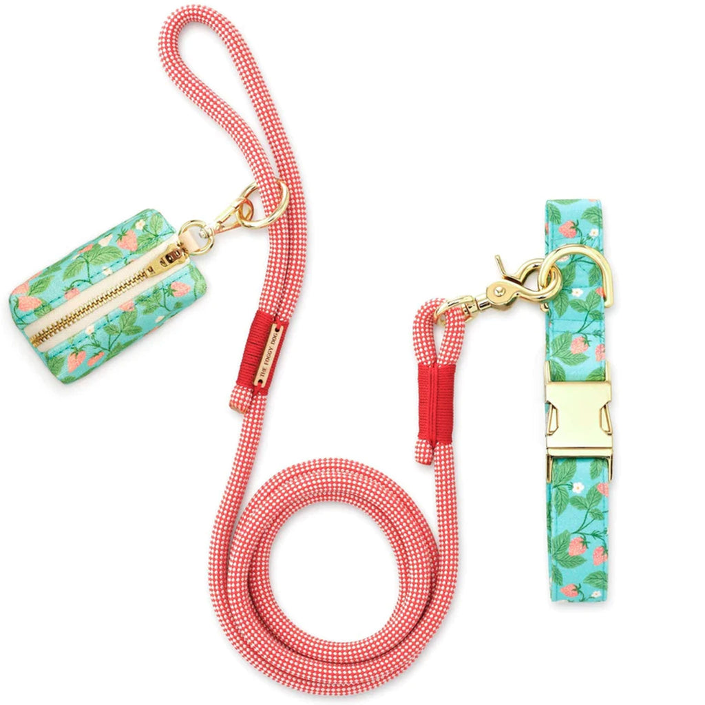 The Foggy Dog Collar, Leash & Waste Bag Set - Berry Patch