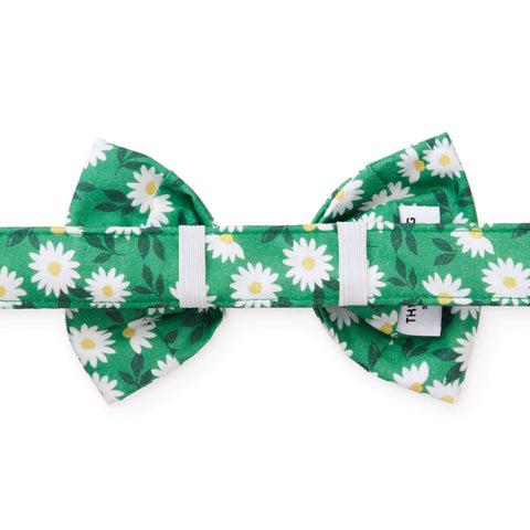 The Foggy Dog Comin Up Daisies Green Dog Bowtie