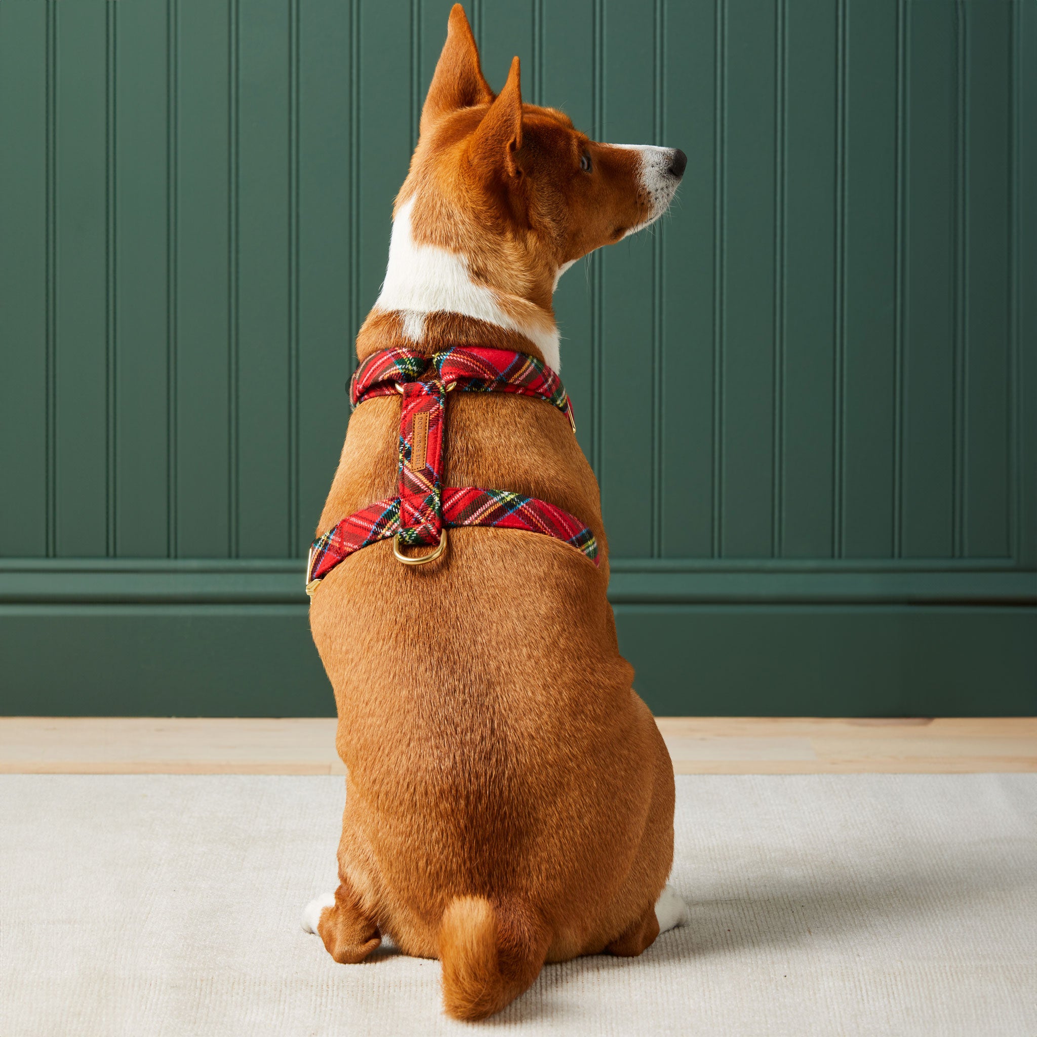 The Foggy Dog Harness Tartain Plaid Flannel HEALTHY SPOT
